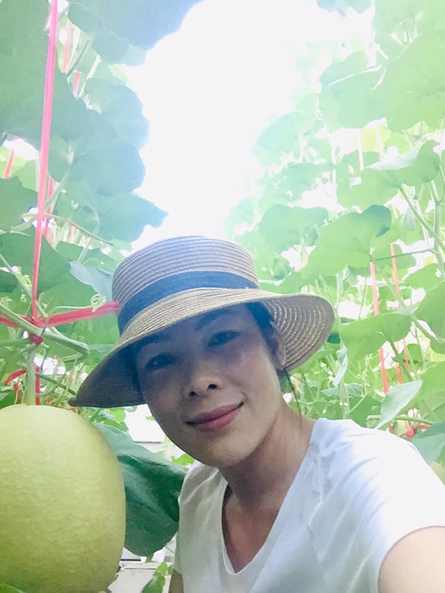 Hà Tĩnh: Ngỡ ngàng vườn dưa lưới công nghệ cao ngay giữa lòng nội đô - 3 Hà Tĩnh: Ngỡ ngàng vườn dưa lưới công nghệ cao ngay giữa lòng nội đô - 3
