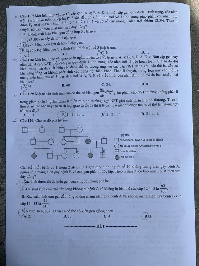 Đề thi môn Sinh tốt nghiệp THPT 2020: Thí sinh nhận xét đề dễ thở - 4