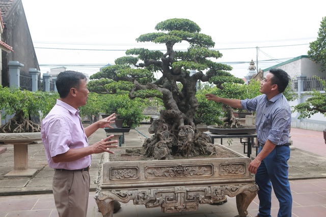 Sanh cổ “tân cổ giao duyên”, đại gia trả 10 tỷ đồng vẫn không mua được - 5 Sanh cổ “tân cổ giao duyên”, đại gia trả 10 tỷ đồng vẫn không mua được - 5