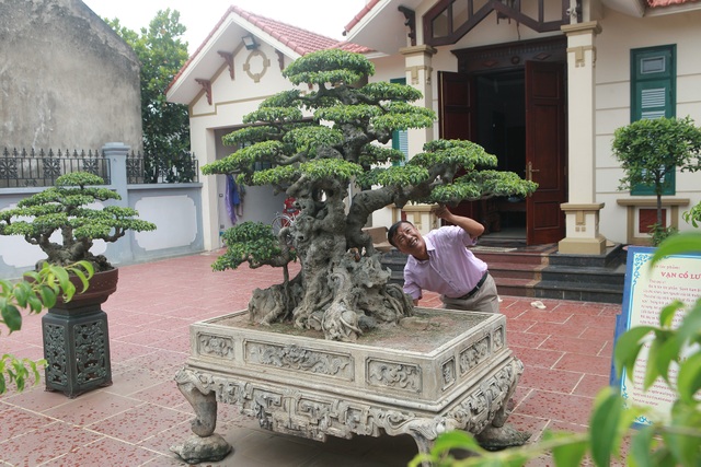 Sanh cổ “tân cổ giao duyên”, đại gia trả 10 tỷ đồng vẫn không mua được - 8 Sanh cổ “tân cổ giao duyên”, đại gia trả 10 tỷ đồng vẫn không mua được - 8