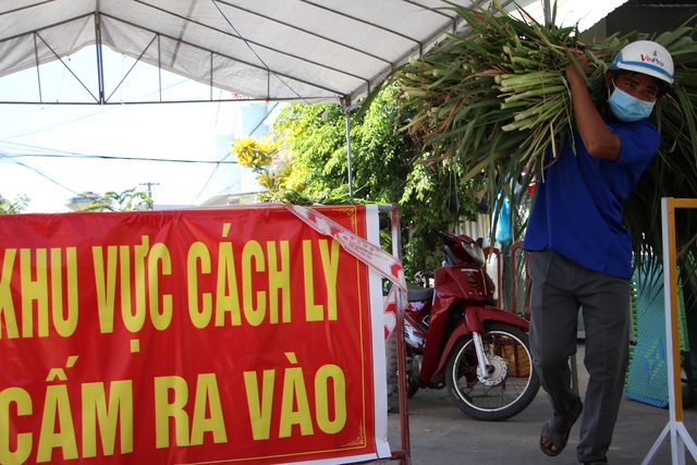 Quảng Ngãi: Áo xanh lội ruộng tìm thức ăn cho vật nuôi khu cách ly - 5 Quảng Ngãi: Áo xanh lội ruộng tìm thức ăn cho vật nuôi khu cách ly - 5