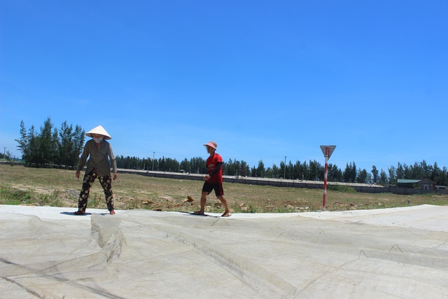 Lộc biển bất ngờ, ngư dân hối hả “cướp nắng” kiếm tiền triệu - 3 Lộc biển bất ngờ, ngư dân hối hả “cướp nắng” kiếm tiền triệu - 3
