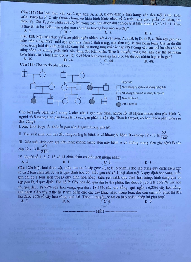 Đề thi môn Sinh tốt nghiệp THPT 2020: Thí sinh nhận xét đề dễ thở - 8