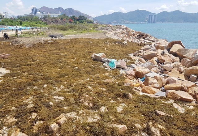 Chủ tịch Khánh Hòa nói gì về phần đất lấn biển thuộc dự án Nha Trang Sao? - 1 Chủ tịch Khánh Hòa nói gì về phần đất lấn biển thuộc dự án Nha Trang Sao? - 1