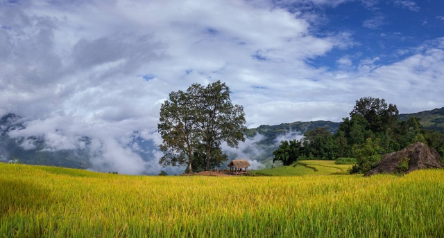 Y Tý đẹp mê li cả 4 mùa: Vùng đất khiến du khách trở lại mười lần chưa chán - 8