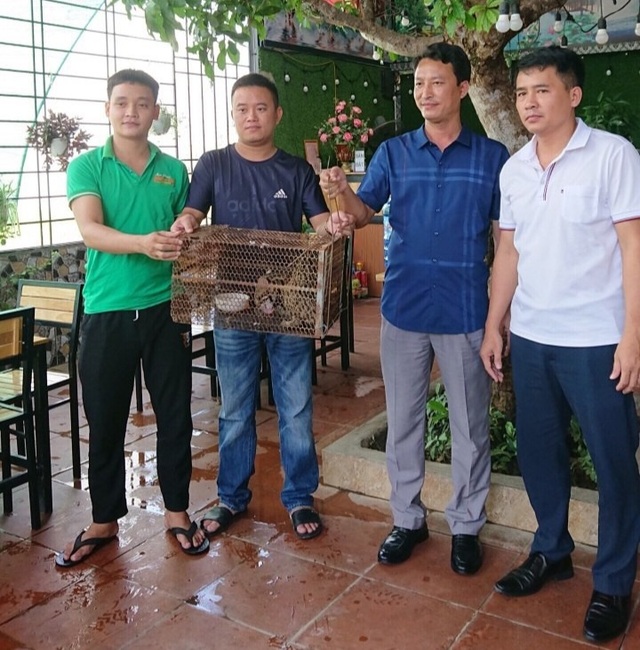 Chủ nhà hàng mua mèo rừng quý hiếm để bàn giao cho trung tâm cứu hộ - 2 Chủ nhà hàng mua mèo rừng quý hiếm để bàn giao cho trung tâm cứu hộ - 2