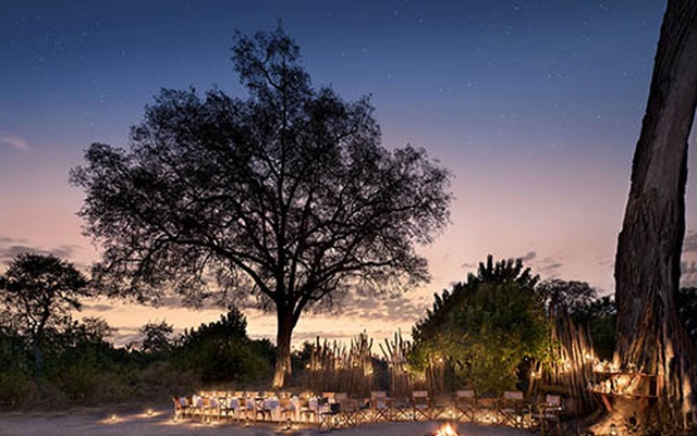 Các safari kỳ thú tiếp cận những “gã khổng lồ” hoang dã châu Phi - 3 Các safari kỳ thú tiếp cận những “gã khổng lồ” hoang dã châu Phi - 3