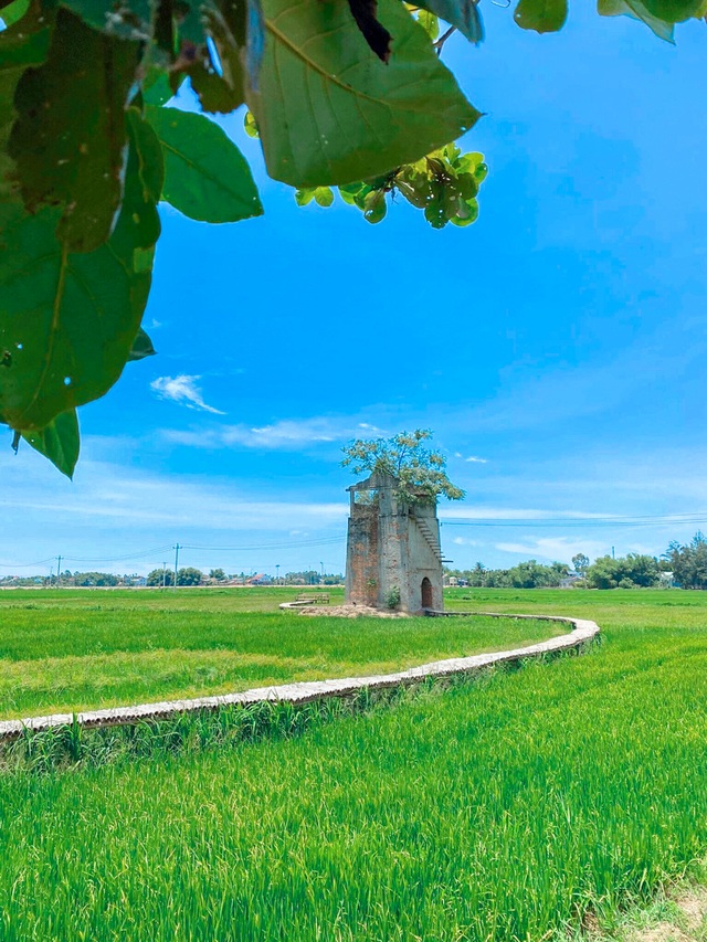 Giới trẻ đổi gió tìm về lò gạch cũ đẹp như tranh vẽ gần Hội An - 4 Giới trẻ đổi gió tìm về lò gạch cũ đẹp như tranh vẽ gần Hội An - 4