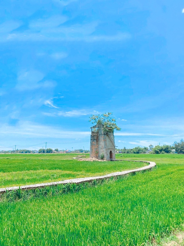 Giới trẻ đổi gió tìm về lò gạch cũ đẹp như tranh vẽ gần Hội An - 11 Giới trẻ đổi gió tìm về lò gạch cũ đẹp như tranh vẽ gần Hội An - 11