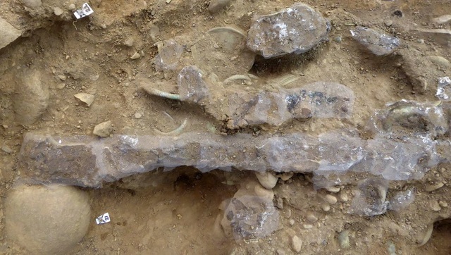 Thợ săn kho báu tìm thấy báu vật 3.000 năm tuổi từ thời đồ đồng - 2