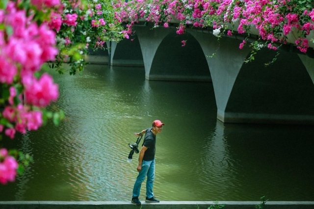 Cây cầu hoa giấy “cực phẩm” ở Ecopark, check-in sương sương cũng đủ gây “bão” mạng - 5