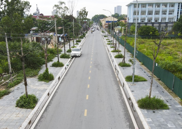 Hà Nội: Hàng trăm cây xanh tiếp tục đột tử trên con đường mới mở - 2 Hà Nội: Hàng trăm cây xanh tiếp tục đột tử trên con đường mới mở - 2
