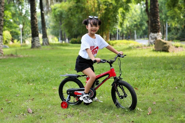 Chọn xe đạp cho con, hãy là cha mẹ thông thái - 4 Chọn xe đạp cho con, hãy là cha mẹ thông thái - 4