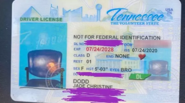 Đi gia hạn bằng lái, nhận về tấm thẻ có ảnh nhận dạng khó tin - 1