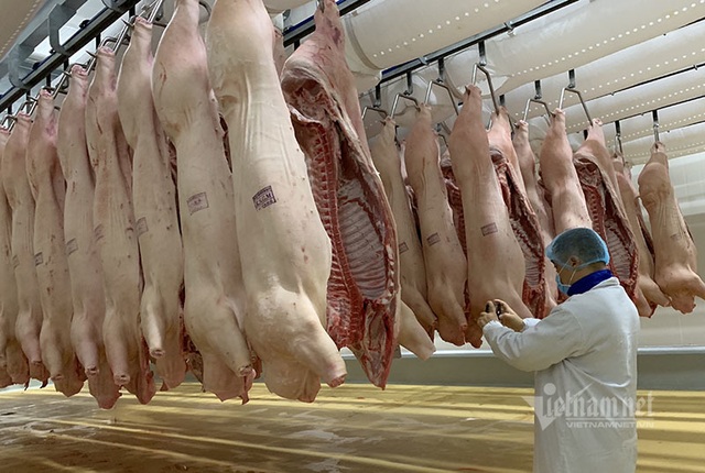 Giá thịt lợn giảm mạnh, bán không lấy lãi lo đẩy hàng sớm - 2 Giá thịt lợn giảm mạnh, bán không lấy lãi lo đẩy hàng sớm - 2