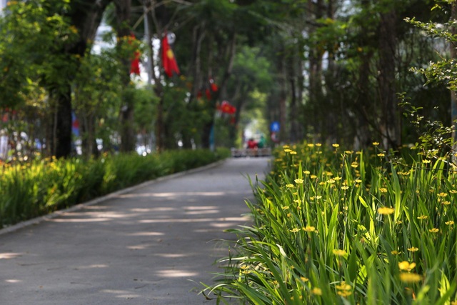 Mãn nhãn những con đường rợp bóng cây xanh ở Hà Nội - 4