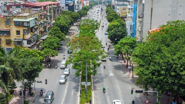 Mãn nhãn những con đường rợp bóng cây xanh ở Hà Nội - 9 Mãn nhãn những con đường rợp bóng cây xanh ở Hà Nội - 9