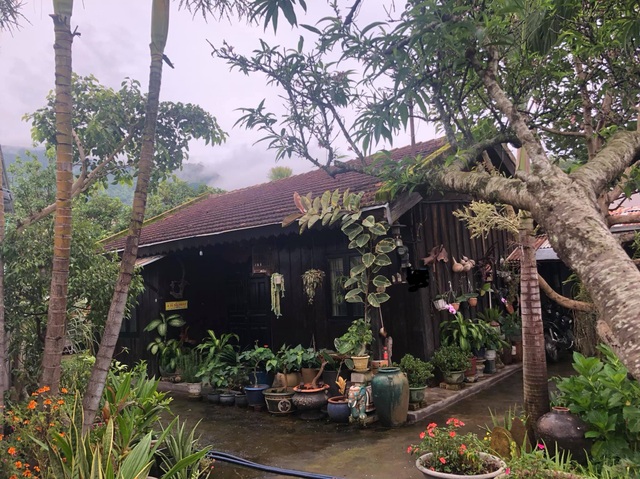 Mãn nhãn với cõi mộng mơ an hưởng tuổi già của cặp vợ chồng ở Đà Lạt - 1 Mãn nhãn với cõi mộng mơ an hưởng tuổi già của cặp vợ chồng ở Đà Lạt - 1