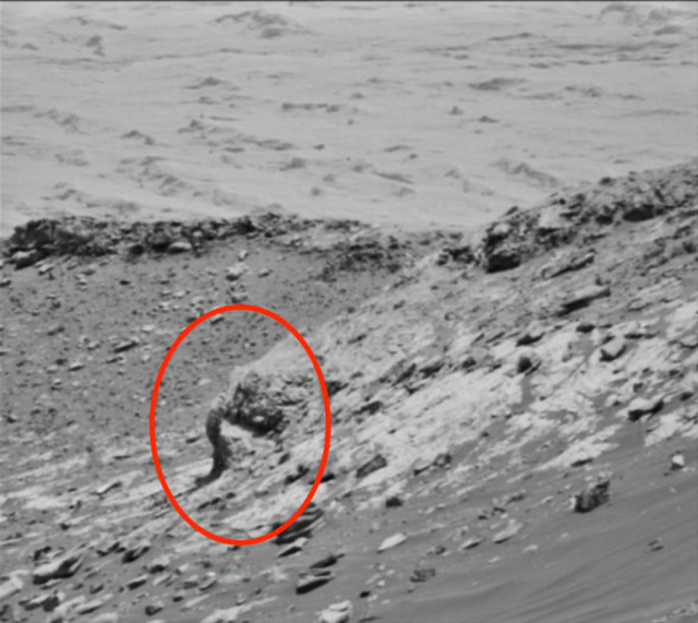 Thợ săn UFO tuyên bố phát hiện voi trên... sao Hỏa - 2 Thợ săn UFO tuyên bố phát hiện voi trên... sao Hỏa - 2