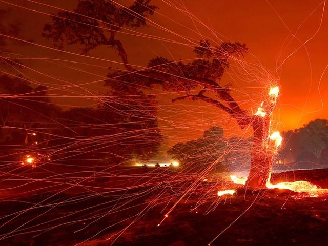 Cháy rừng kinh hoàng đe dọa California - 3 Cháy rừng kinh hoàng đe dọa California - 3