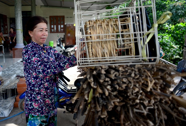 Làng nghề lục bình.jpg Làng nghề lục bình.jpg
