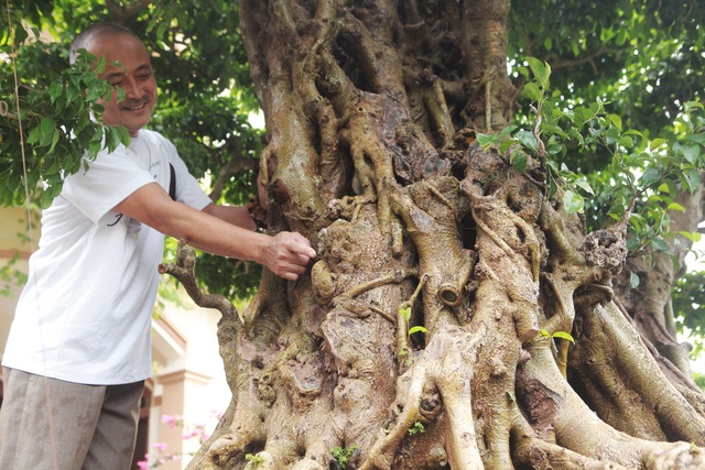 “Báu vật ẩn mình” có tuổi đời 500 năm ở Hà Nội, trả 100 cây vàng không bán - 8