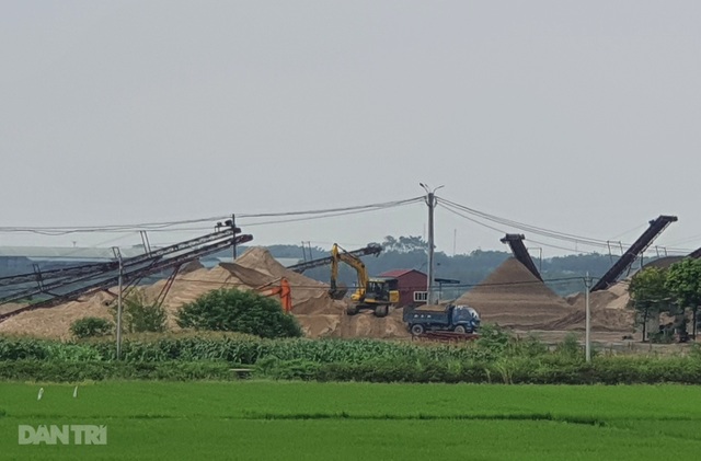 Thủ tướng yêu cầu kiểm tra phản ánh vi phạm pháp luật về đê điều tại Hà Nội - 1 Thủ tướng yêu cầu kiểm tra phản ánh vi phạm pháp luật về đê điều tại Hà Nội - 1