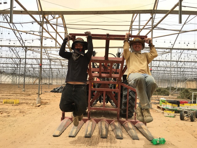 Chàng kiến trúc sư trẻ kể chuyện làm nông ở Israel - 3 Chàng kiến trúc sư trẻ kể chuyện làm nông ở Israel - 3