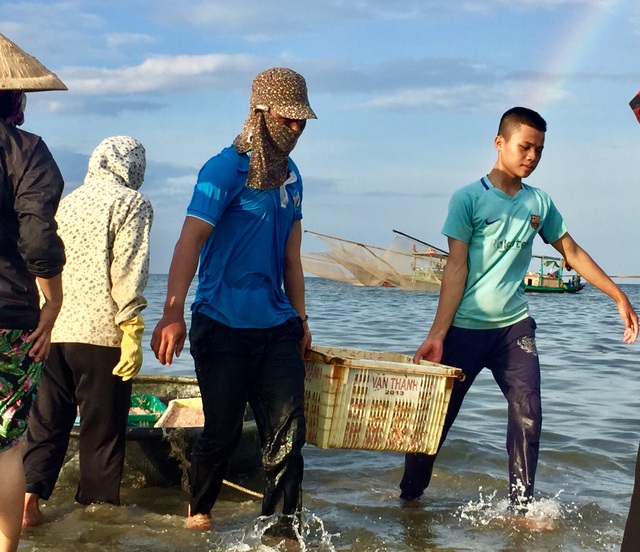 Hà Tĩnh: Ngư dân trúng mùa ruốc biển - 4 Hà Tĩnh: Ngư dân trúng mùa ruốc biển - 4