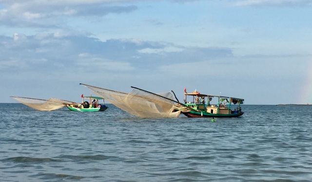 Hà Tĩnh: Ngư dân trúng mùa ruốc biển - 2 Hà Tĩnh: Ngư dân trúng mùa ruốc biển - 2