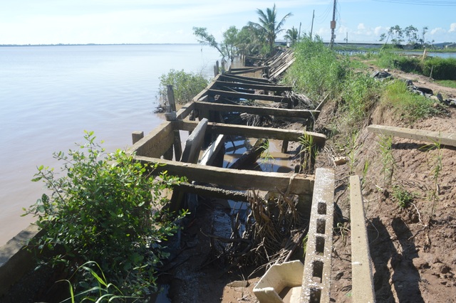 Người dân hoang mang tố thủ phạm gây sạt lở nghiêm trọng hai bờ sông Hậu - 3 Người dân hoang mang tố thủ phạm gây sạt lở nghiêm trọng hai bờ sông Hậu - 3