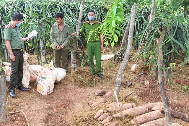 Khởi tố 2 đối tượng tàng trữ hơn nửa tấn thuốc nổ cùng 21 đầu đạn - 2