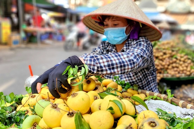 Kiếm tiền triệu từ thứ quả ...rơi bị bà dịp Rằm tháng 7 - 1 Kiếm tiền triệu từ thứ quả ...rơi bị bà dịp Rằm tháng 7 - 1