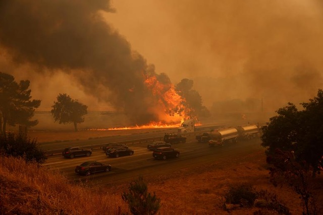 650 đám cháy rừng càn quét bang California, 7 người chết - 16