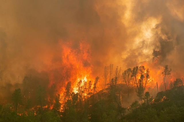 650 đám cháy rừng càn quét bang California, 7 người chết - 2