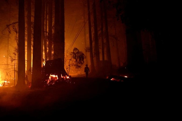 650 đám cháy rừng càn quét bang California, 7 người chết - 7