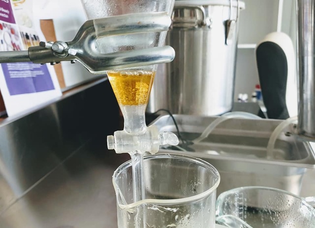 Sang Úc sinh sống, mẹ Việt trổ tài làm vườn rộng 2000 m2 ngập hoa trái - 15 Sang Úc sinh sống, mẹ Việt trổ tài làm vườn rộng 2000 m2 ngập hoa trái - 15