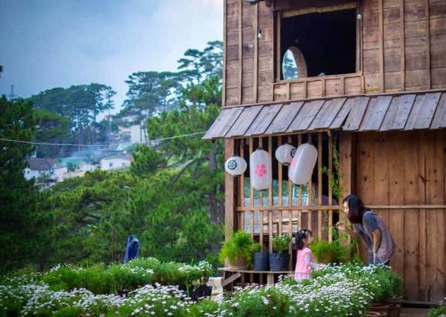 Rời Sài Gòn hoa lệ, chàng trai trẻ tới Đà Lạt dựng nhà, chăm cún, trồng hoa - 5 Rời Sài Gòn hoa lệ, chàng trai trẻ tới Đà Lạt dựng nhà, chăm cún, trồng hoa - 5