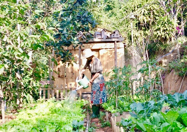 Rời Sài Gòn hoa lệ, chàng trai trẻ tới Đà Lạt dựng nhà, chăm cún, trồng hoa - 3 Rời Sài Gòn hoa lệ, chàng trai trẻ tới Đà Lạt dựng nhà, chăm cún, trồng hoa - 3