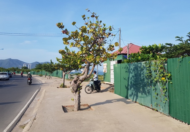 Chủ tịch Khánh Hòa yêu cầu lên phương án thu hồi dự án “lấp” Vịnh Nha Trang - 3 Chủ tịch Khánh Hòa yêu cầu lên phương án thu hồi dự án “lấp” Vịnh Nha Trang - 3