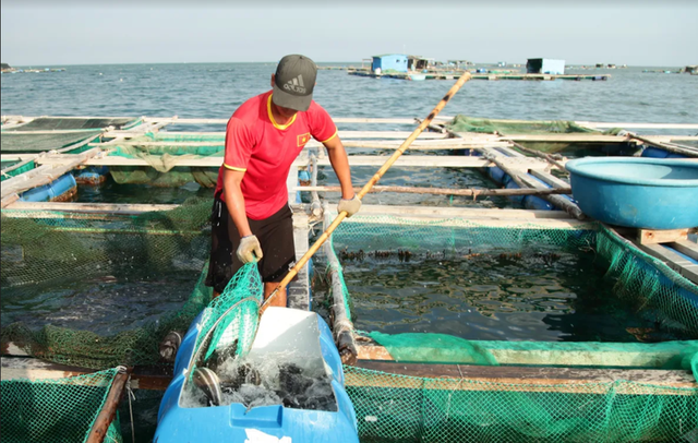 Về Ninh Thuận ra làng bè Đông Hải xem tắm cá - 14