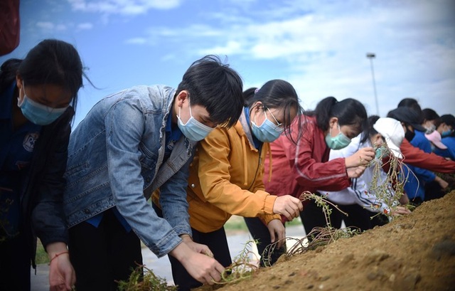 Thanh niên Bình Định thi đua làm nghìn việc tốt - 3 Thanh niên Bình Định thi đua làm nghìn việc tốt - 3