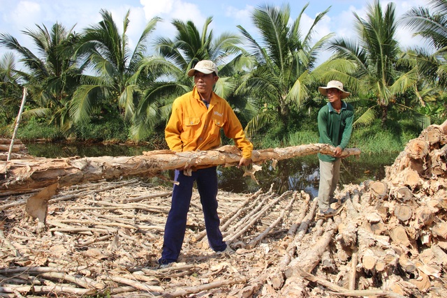 Cà Mau: Nghề vác cừ tràm thuê ở miệt vùng U Minh Hạ - 5 Cà Mau: Nghề vác cừ tràm thuê ở miệt vùng U Minh Hạ - 5