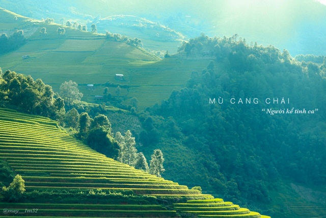 Mù Cang Chải đẹp mê đắm mùa lúa mới! - 3 Mù Cang Chải đẹp mê đắm mùa lúa mới! - 3