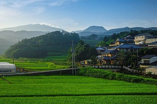 Bỏ phố về quê: Xu hướng thế giới mùa Covid-19 - 1 Bỏ phố về quê: Xu hướng thế giới mùa Covid-19 - 1