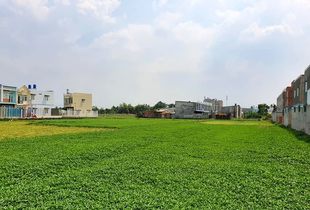 Hàng trăm ha đất cấm bị “xẻ thịt”: Công trình vi phạm 10 năm chưa xử lý! - 3 Hàng trăm ha đất cấm bị “xẻ thịt”: Công trình vi phạm 10 năm chưa xử lý! - 3