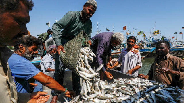 Ngư dân Pakistan lo tàu cá Trung Quốc đánh bắt cạn kiệt tài nguyên - 1 Ngư dân Pakistan lo tàu cá Trung Quốc đánh bắt cạn kiệt tài nguyên - 1