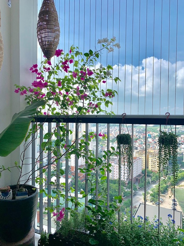Mua nơm đánh cá về trang trí nhà, mẹ đảm Hà Nội tạo nên điều bất ngờ - 6 Mua nơm đánh cá về trang trí nhà, mẹ đảm Hà Nội tạo nên điều bất ngờ - 6