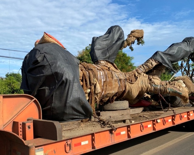 A giant tree of more than 300 km, was discovered until Dak Nong - 1