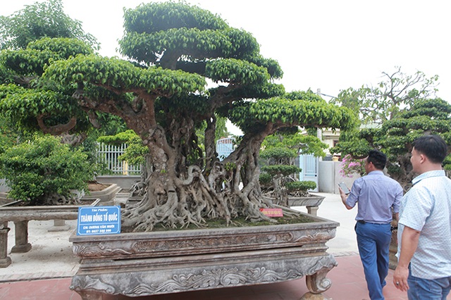 Báu vật hiếm có khó tìm, đại gia trả triệu đô chủ nhân vẫn quyết không bán - 3